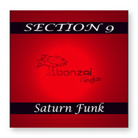 Section 9 - Saturn Funk EP